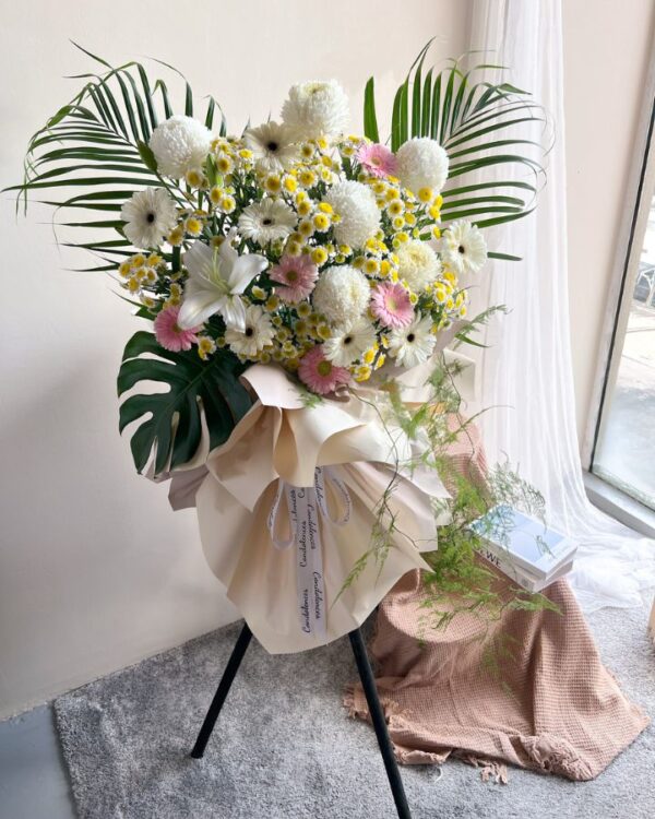 Angel of life RM450 Angel Of Life